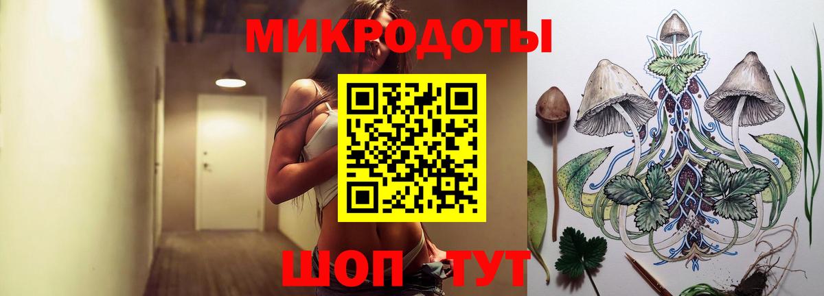 Галлюциногенные грибы Psilocybe  Апшеронск 